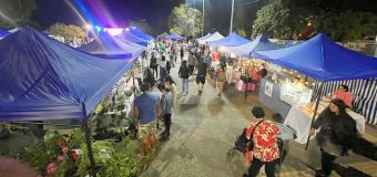 2° Expo Walüng en Panguipulli reunirá a alrededor de 50 emprendedores y foodtrucks de la comuna