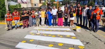 Municipalidad de Panguipulli pintó huellas en 5 pasos peatonales de la ciudad